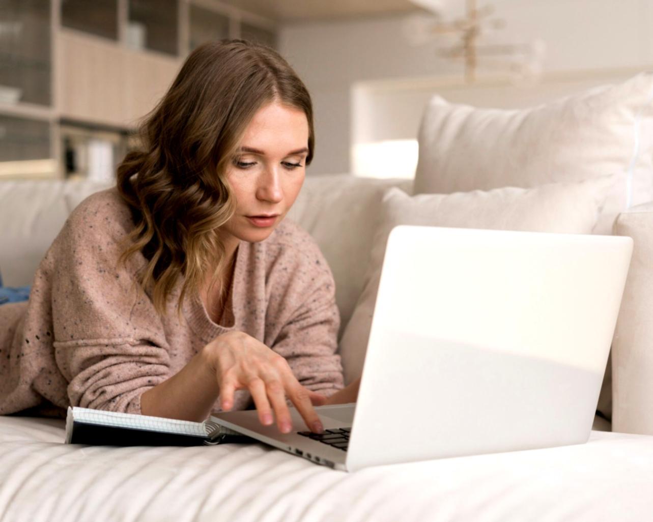 Professional bug tracking dashboard interface